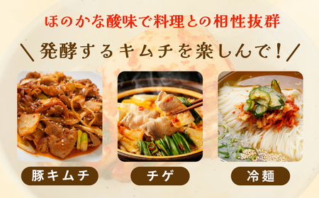 韓国人夫が作る！無添加・砂糖不使用の白菜キムチ1kg+おまけ季節のキムチ100g