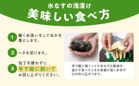 【先行予約】特選 無添加 水なす漬け 4個