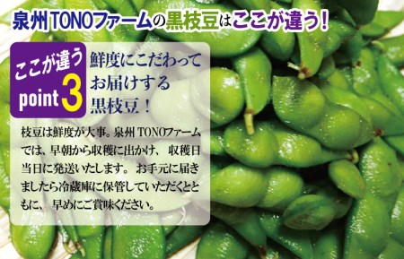 【先行予約】畑から直送・朝採り黒枝豆1.8kg