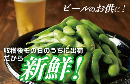 新鮮枝豆（栄錦）合計1kg（200g×5）