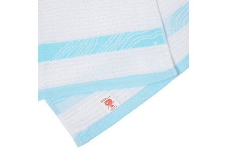 オーラフェイスタオル 10枚