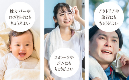 ファミーユ ミニバスタオル 6枚（ホワイト／グレー）