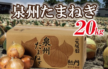 010B135 泉州玉ねぎ20㎏