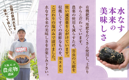 【先行予約】特選 無添加 水なす漬け 8個