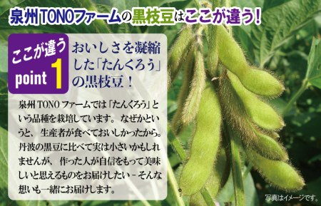 【先行予約／2024年8月以降発送】畑から直送・朝採り黒枝豆3.6kg