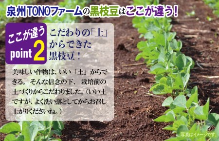 【先行予約／2024年8月以降発送】畑から直送・朝採り黒枝豆3.6kg