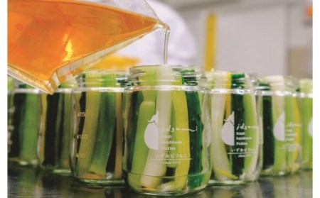 【定期便】泉州水なすピクルス半年セット6個×6回 いずみピクルス NSW