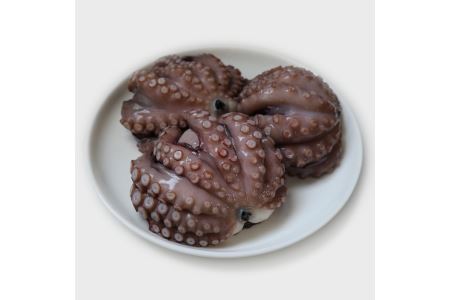 洗い泉州タコ1kg