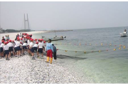 海鮮バーベキュー＆地引網漁業体験（５０名）