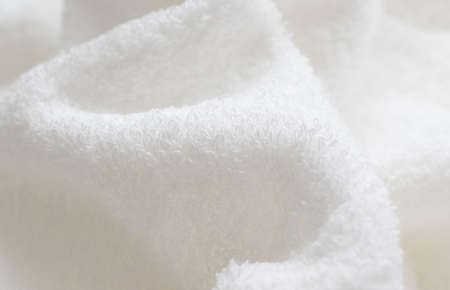 ファミーユ ミニバスタオル 10枚