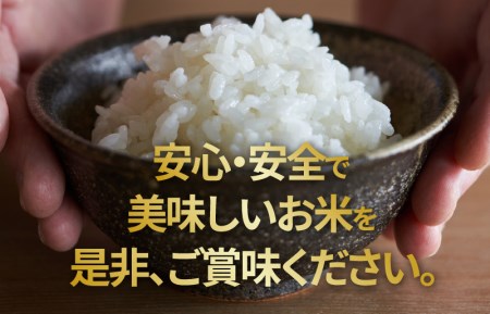 【9月30日受付終了】新潟こしひかり 定期便（8kg×全12回）令和3年産新米 タワラ印 国内産【毎月配送コース】