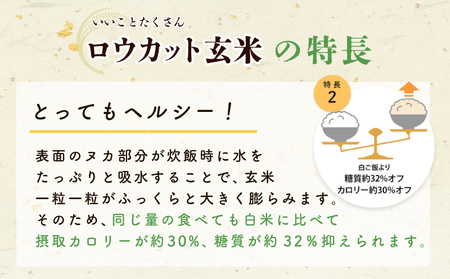 金芽ロウカット玄米 4kg【東洋ライス 2kg×2P】