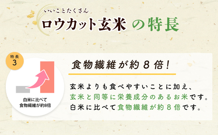 金芽ロウカット玄米 4kg【東洋ライス 2kg×2P】