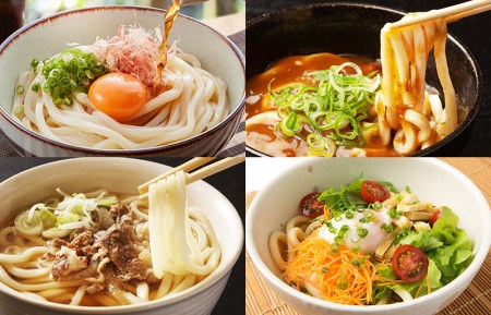 麺名人 なにわうどん(5食×3パックセット)