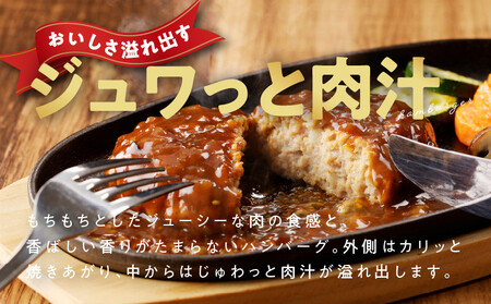 特製ソースのハンバーグ 10個（160g×10個）泉州玉ねぎ使用