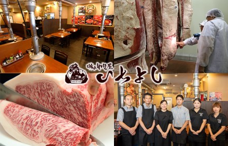 010B629 熟成やわらか国産牛ロースステーキ 480g（240g×2枚）