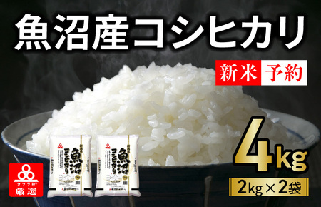 魚沼産コシヒカリ 4kg（2kg×2袋） タワラ印 小分け