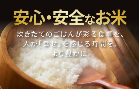 魚沼産コシヒカリ 4kg（2kg×2袋） タワラ印 小分け