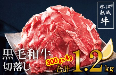 010B689 氷温熟成された黒毛和牛の切り落し1.2kg（300g×4パック）