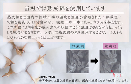泉州タオル「普段使いにぴったりのミニバスタオル」5枚セット(ブラウン)