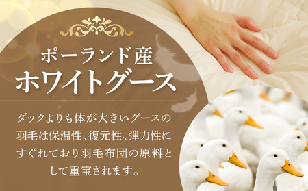 羽毛布団 2枚 ポーランド産グース贅沢仕様 シングル 150cm×210cm アイボリー