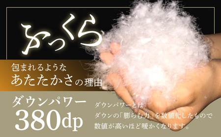 羽毛布団 2枚 ポーランド産グース贅沢仕様 シングル 150cm×210cm アイボリー