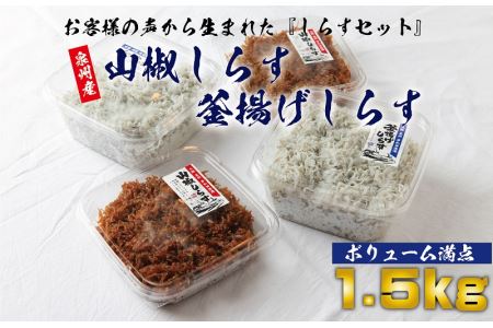 G023 期間限定 しらす三昧セット 山椒しらすと釜揚げしらす 大満足 1 5kg 大阪府泉佐野市 ふるさと納税サイト ふるなび
