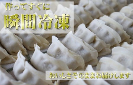 生餃子50個セット 甘いと評判の松波キャベツ使用！まずはお試し