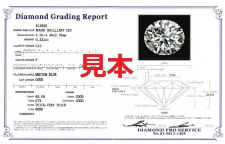 プラチナ・1粒ダイヤモンドネックレス（0.3ct）