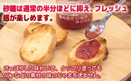 【先行予約】完熟朝摘みいちごのジャム