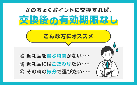 【有効期限なし】 あとから選べる 泉佐野ふるさとギフト(寄附1,000,000円コース)