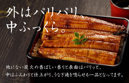 国産うなぎ 約130g×5尾  秘伝のたれ 蒲焼 鰻 ウナギ 無頭 炭火焼き 備長炭 手焼き