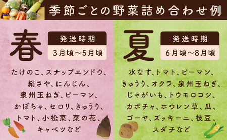 【家計応援】野菜セット 7種類