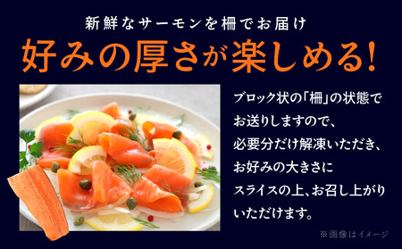 アトランティックサーモン 1.6kg