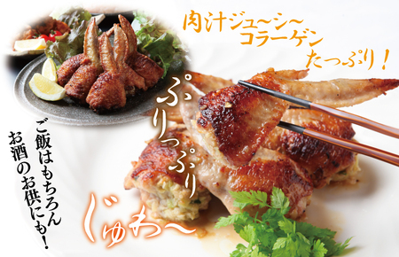 手羽先餃子14本 日本料理屋のお惣菜 さのうまみ鶏