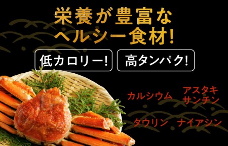 殻剥き不要 ズワイガニ 棒肉 ポーション 合計 500g（10本以上）特大サイズ 加熱用