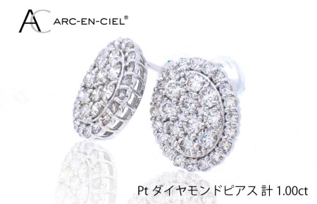 ARC-EN-CIEL PTダイヤピアス（計 1.0ct） | 大阪府泉佐野市 | ふるさと 