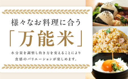 射手矢さんちのヒノヒカリ 白米 6kg