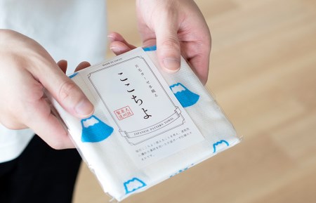 ここちよ ハンドタオル アソート 10枚セット