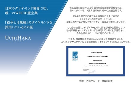 アルカンシェル スリーカラーダイヤリング(計 1.0ct)【鑑別書付き ジュエリー プレゼント ギフト ファッション アクセサリー 贈り物 贈答 お祝い 記念日】