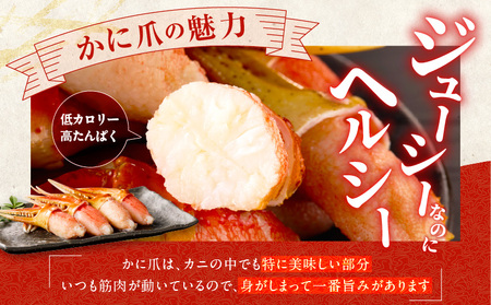 ボイル 本ズワイ蟹 爪肉 500g カット済み(2-3人前)