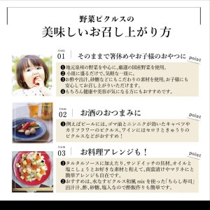 担当者が選んだピクルス 2本セット うずら卵／水なすピクルス和風mix