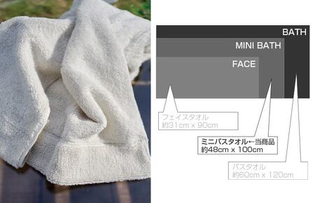 【スピード発送】 エアーミニバスタオル2枚セット（ホワイト／ライトグレー）