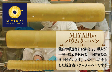 スティックバウム 8個セット バウムクーヘン専門店