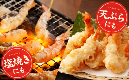 \えび三昧/天然えび 串 30本 約750g 訳あり サイズ不揃い 背ワタなし