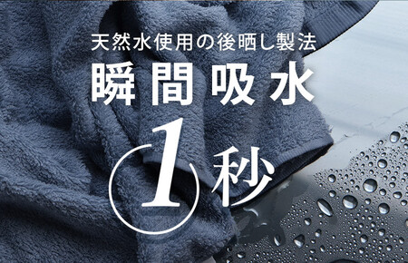 ヒオリエ ホテルタオル バスタオル 2枚 ライトグレー【タオル 泉州タオル 吸水 普段使い 無地 シンプル 日用品 ふわふわ ふかふか 家族 泉州タオル】