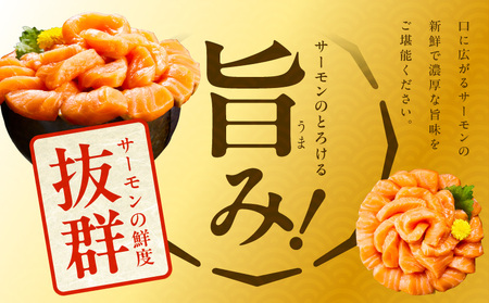 北極圏サーモン ポーション 1kg