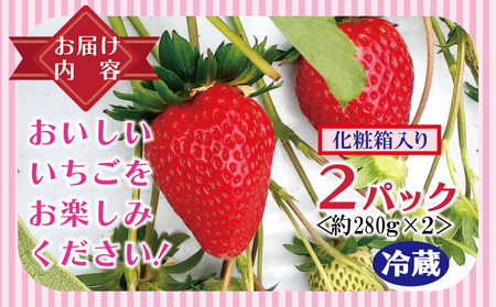 朝摘み 完熟いちご 2パック【化粧箱入り 苺 無添加 自然素材 フルーツ イチゴ 高評価 数量限定 先行予約】