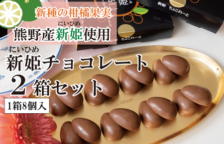 新姫(にいひめ)チョコレート 2箱セット  瀧のしずく