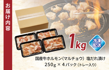 国産 牛肉 ホルモン 1kg 塩だれ漬け 焼肉用 小分け 250g×4P | 大阪府泉佐野市 | ふるさと納税サイト「ふるなび」